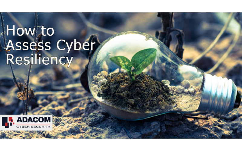 How Can Organisations Assess Cyber Resiliency?